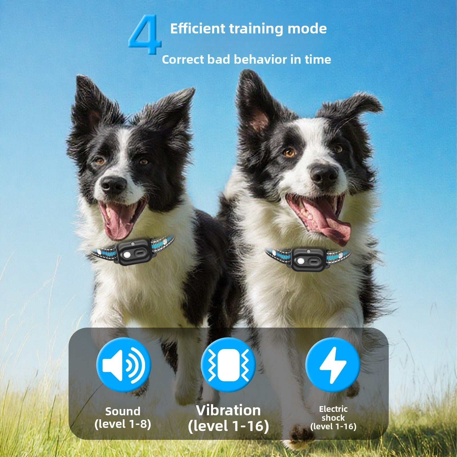 PawSmart T60 TrainPro — 1-to-2 Remote Dog Training Collar | Waterproof | Bark Control
