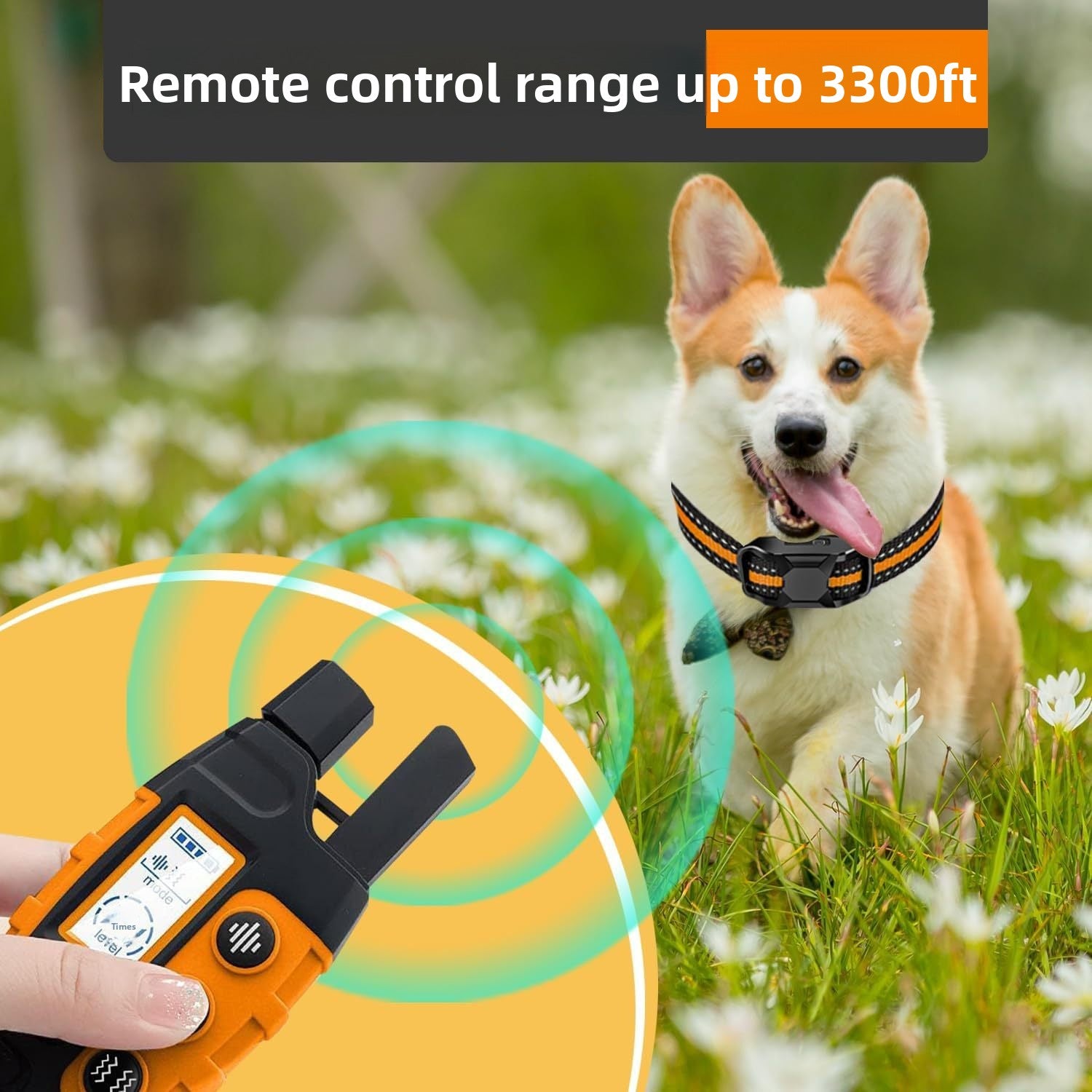PawSmart TrainEase Pro — Humane Smart Dog Trainer & Bark Stopper | No Shock | Remote Control