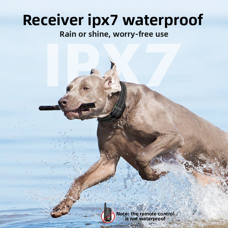 PawSmart CommandPro — 300m Remote Dog Training Collar | IP67 Waterproof | 1-to-3 Control | Color Screen